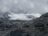 CH, Wallis, Saas Almagell, Mattmark 41, Saxifraga-Willem van Kruijsbergen